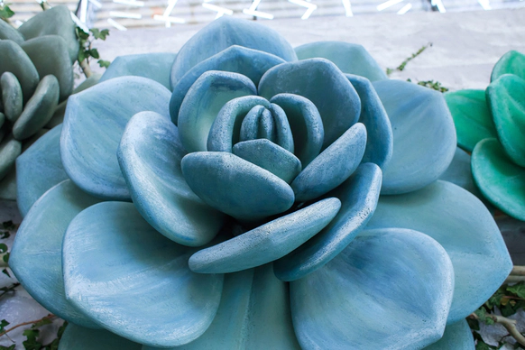 NeboDecor