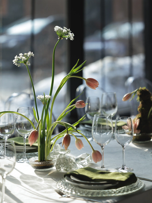 MJ Hall
