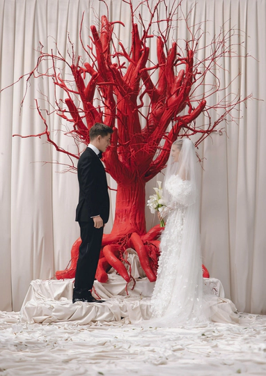 Vesna Wedding
