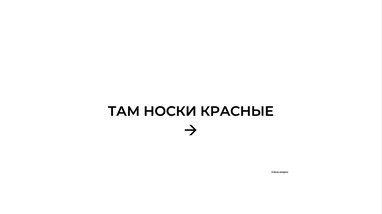 Мигель Родригес