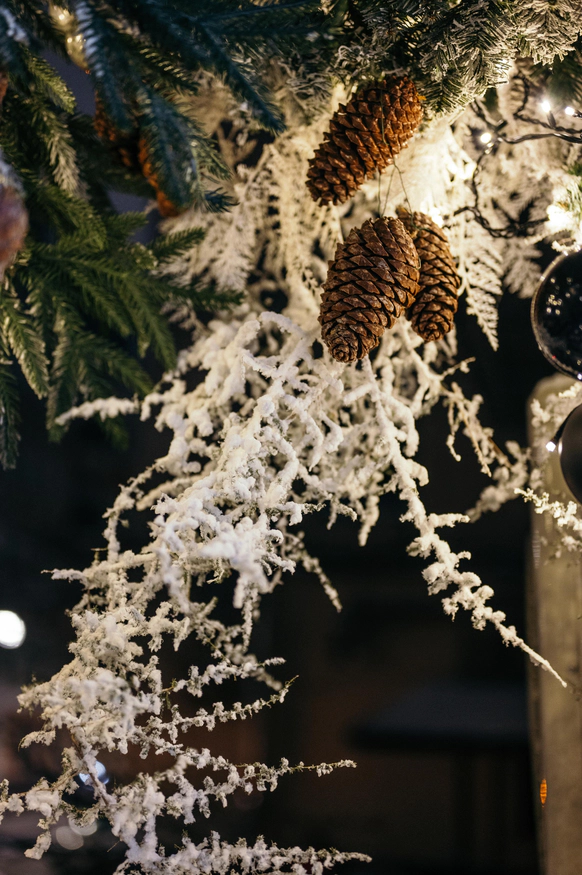 Florist Gump Decor