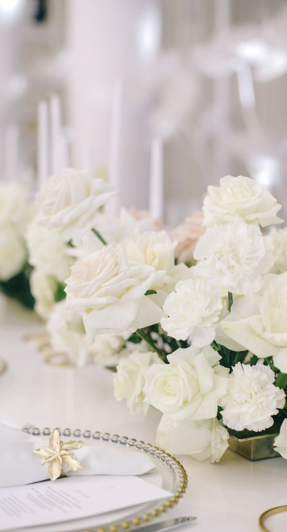 Juicy Decor
