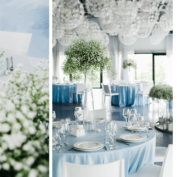 Juicy Decor