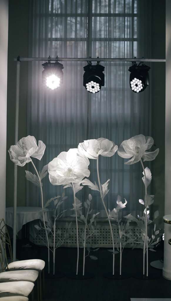 Juicy Decor