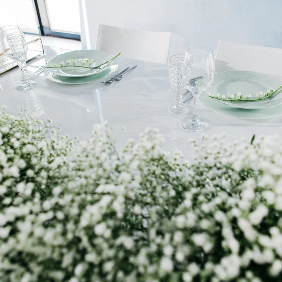 Juicy Decor