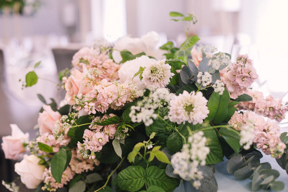 Premiumflor decor