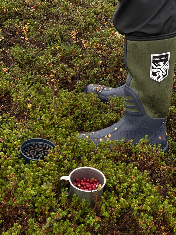 Kola reserve