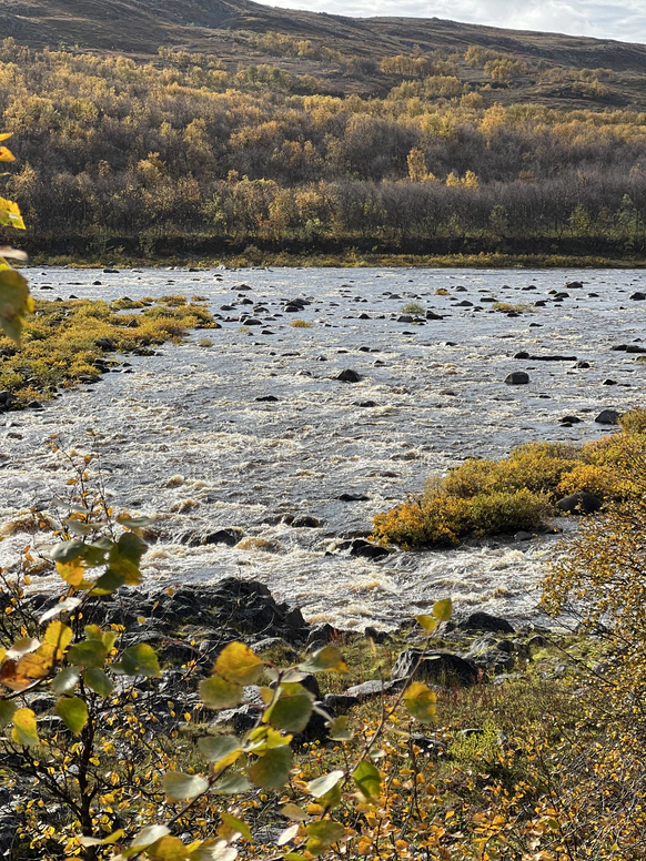 Kola reserve