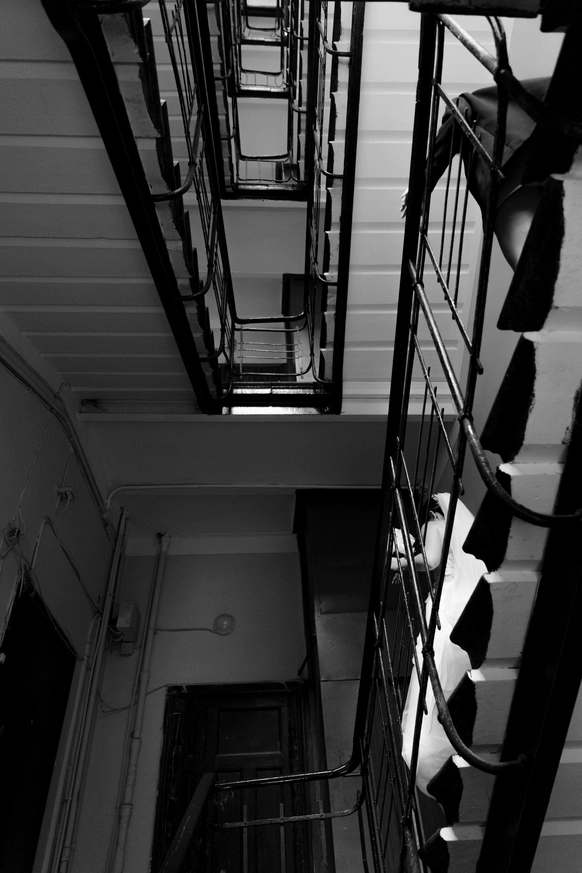 Dariazphoto