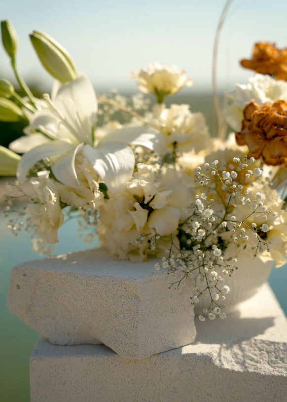 Bloom Room