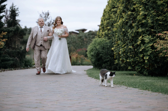 Андрей Губренко