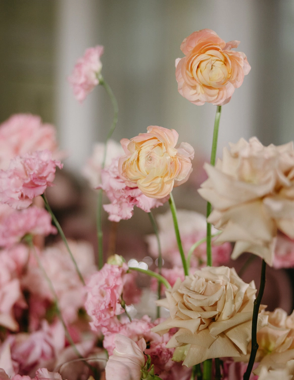 Florapolitika