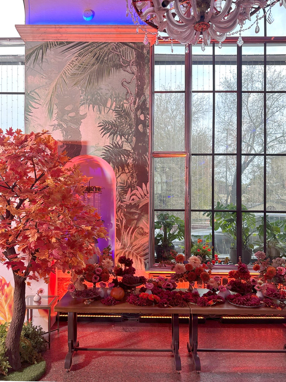 NNdecor Studio