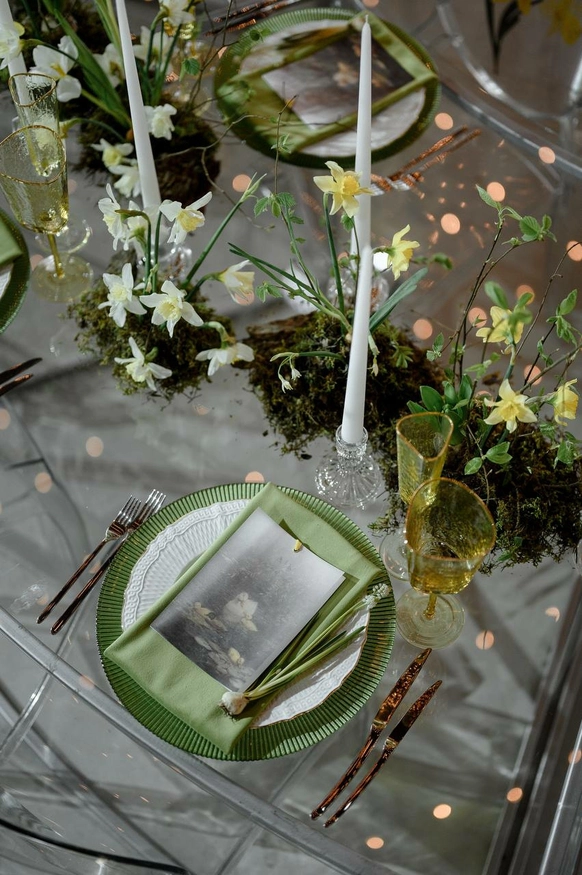 Anna Botanica