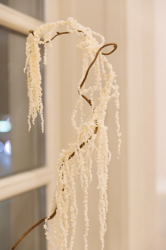 Baffodecor