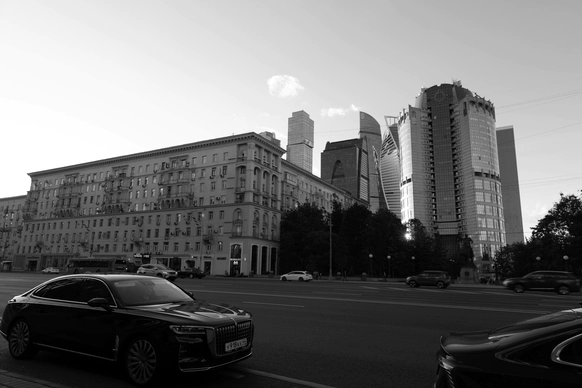 Александра Гречишкина