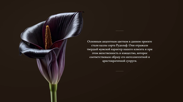 Anna Botanica
