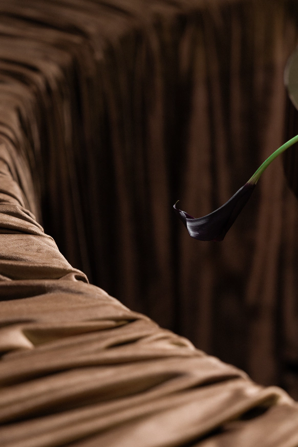 Anna Botanica