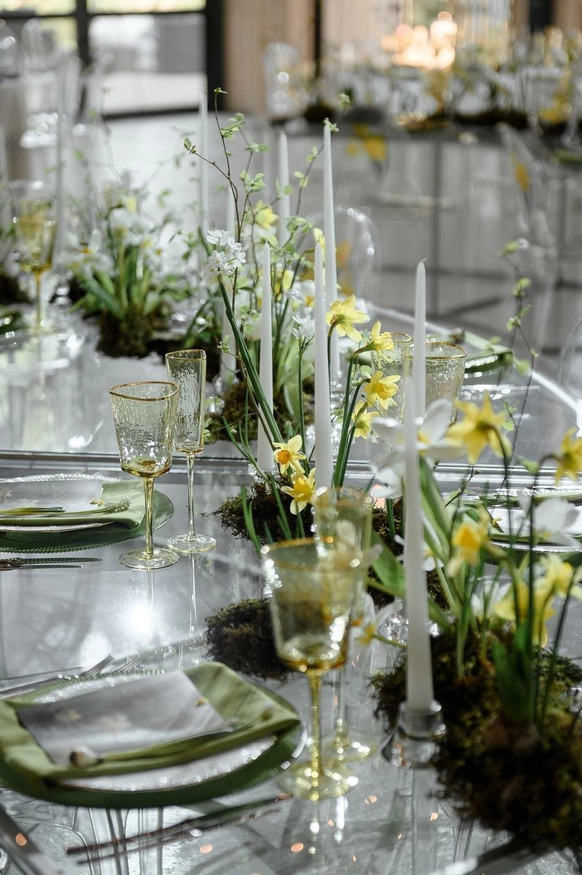 Anna Botanica