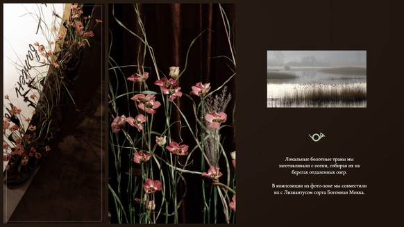 Anna Botanica