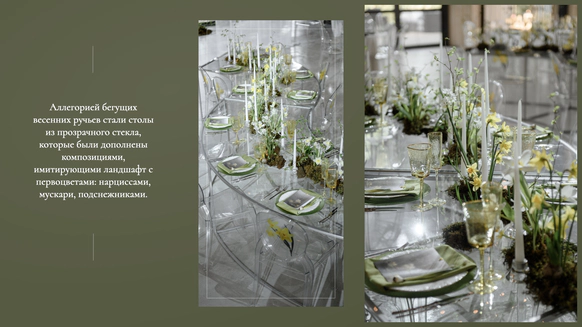Anna Botanica