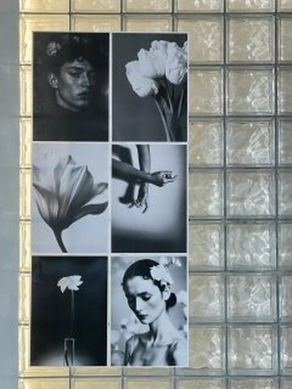 Gypsy’s decor