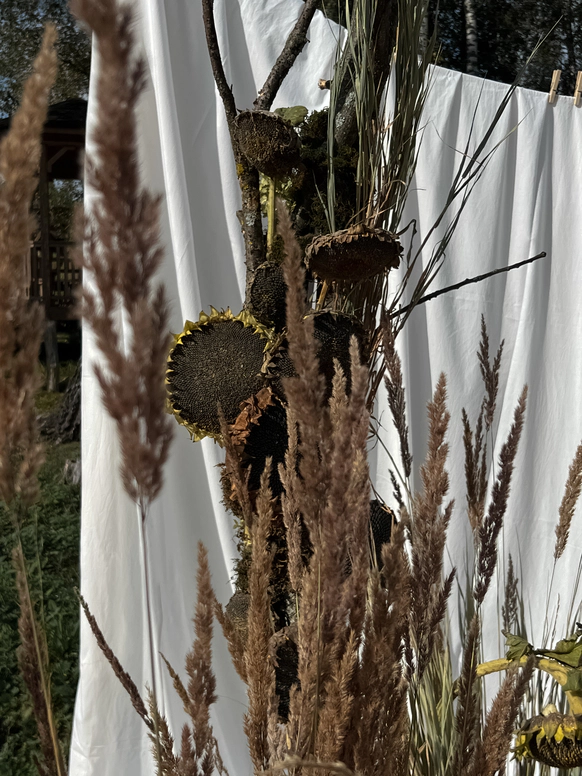 Gypsy’s decor