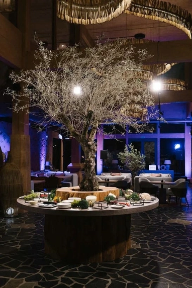 Загородный ивент-комплекс Omega Events