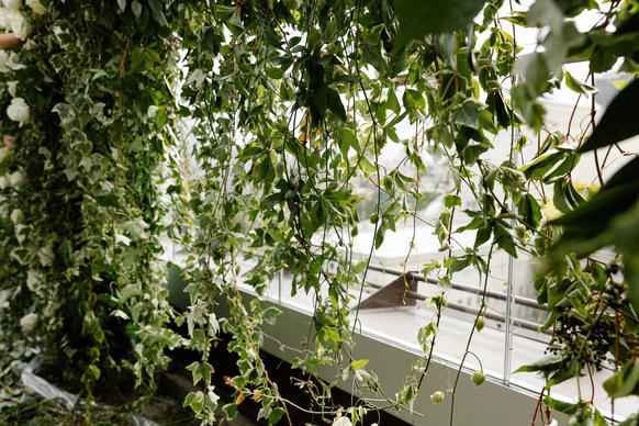 Botanika Studio