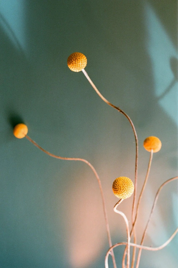 Aya Decor