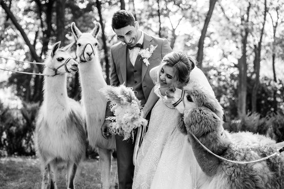 Krugozor wedding