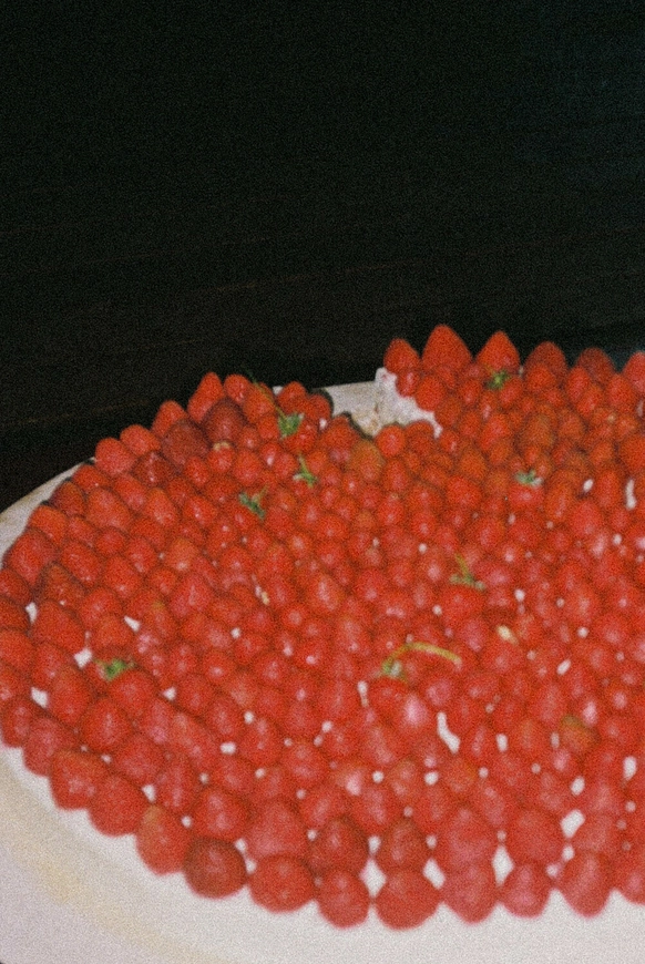 Мария Журавлева