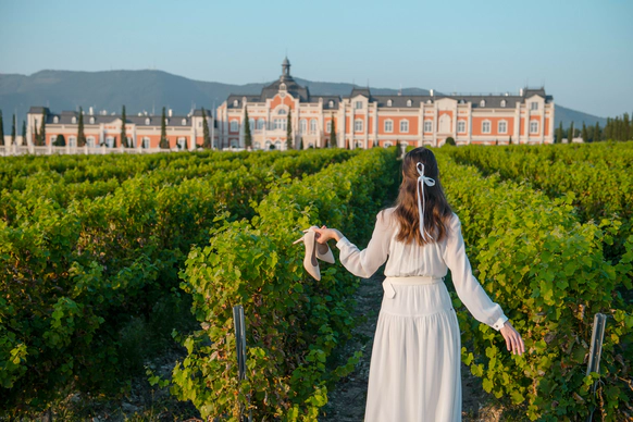 Château de Talu