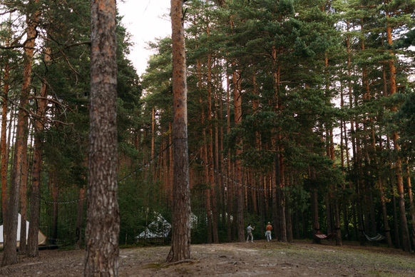 Алина Полевкова