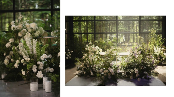 Florapolitika