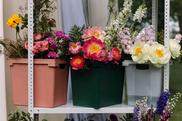 DOOM OF BLOOM