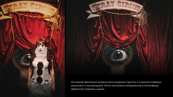 ЕЖЕВИКА ДЕКОР