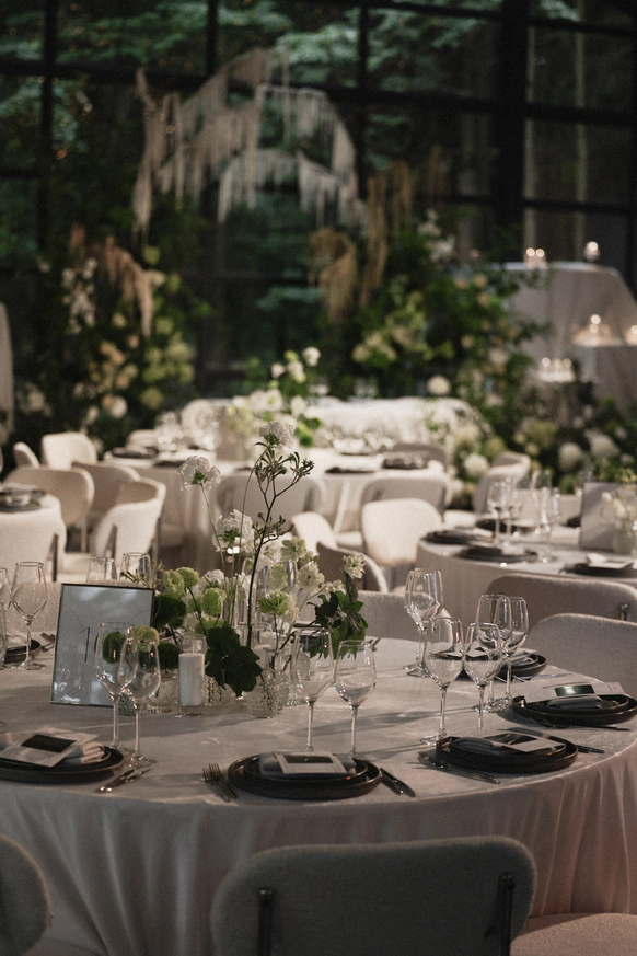 CAXAPDECOR