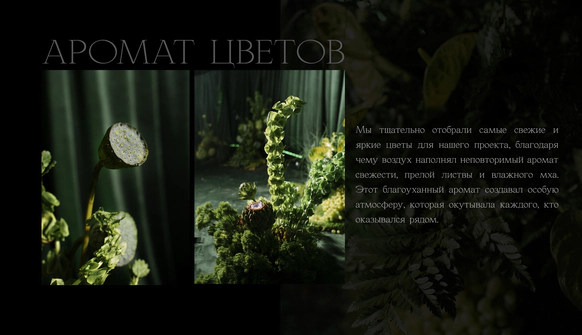 Sigalova studio
