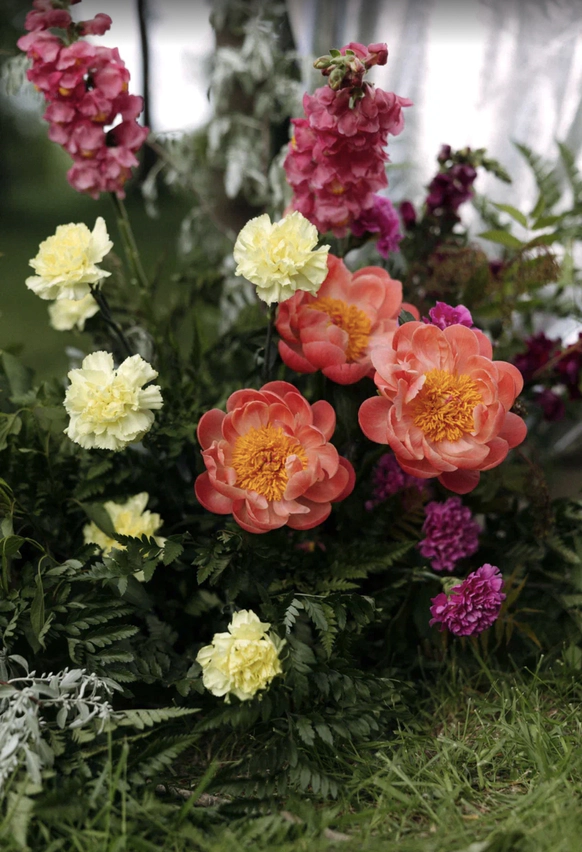 DOOM OF BLOOM