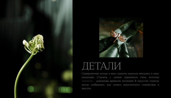 Sigalova studio