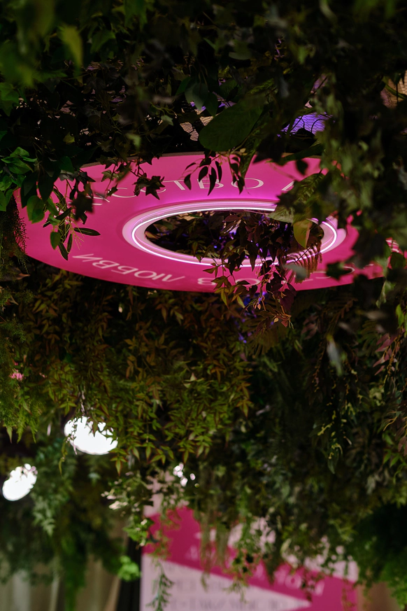 CAXAPDECOR