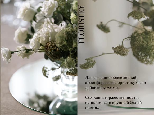 Kristani Event