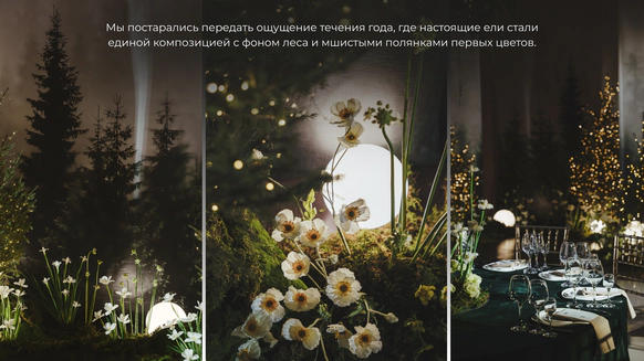 ЕЖЕВИКА ДЕКОР
