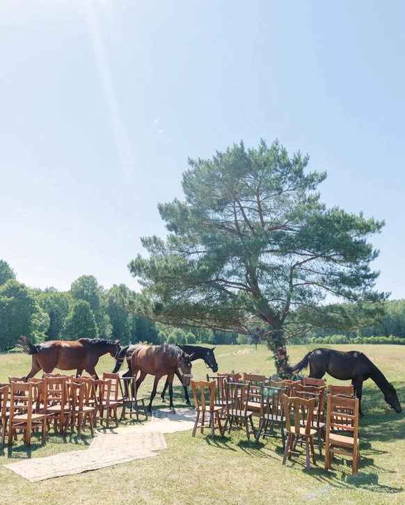 Country Club Polyana