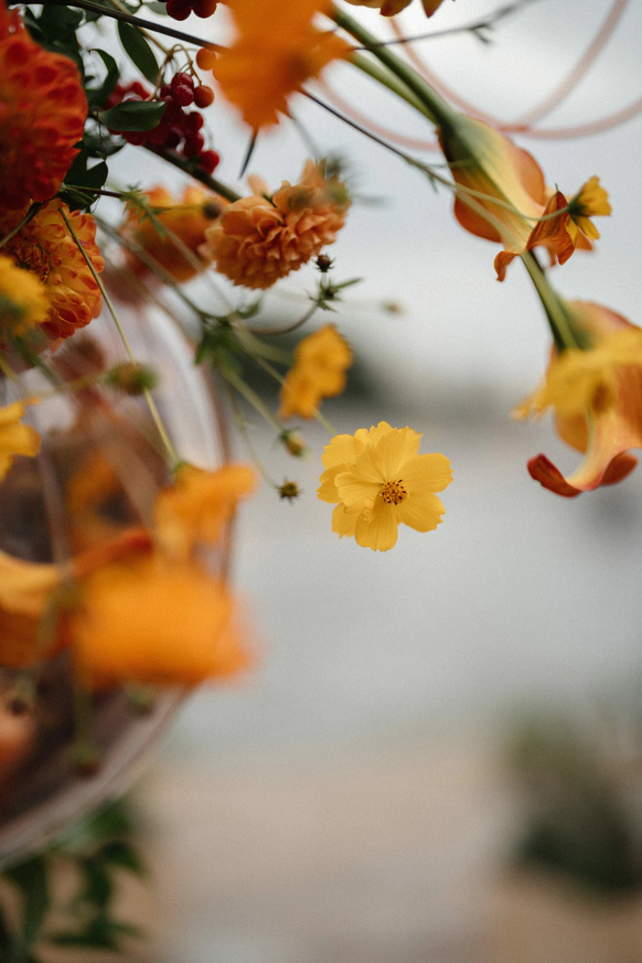 DROP me flowers