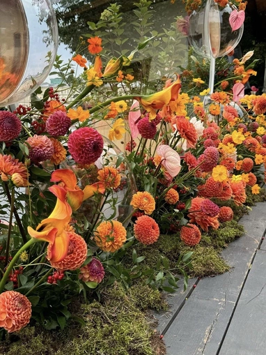 DROP me flowers