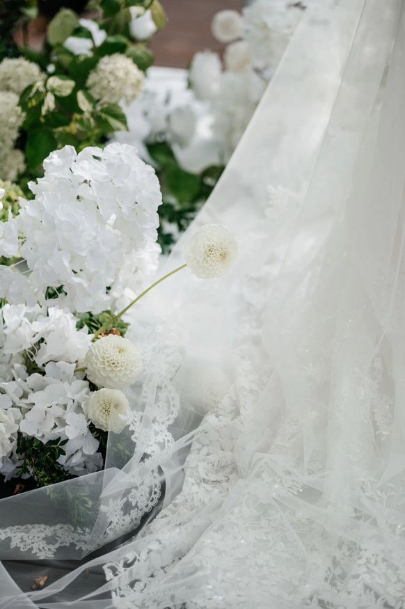 Nova Events Agency