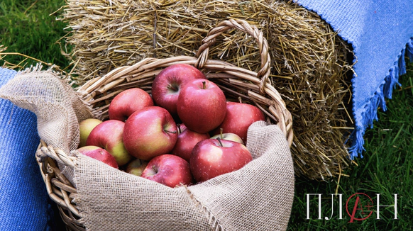 ПЛАН ивент-агентство
