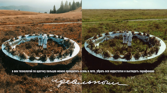 Цветы на чердаке